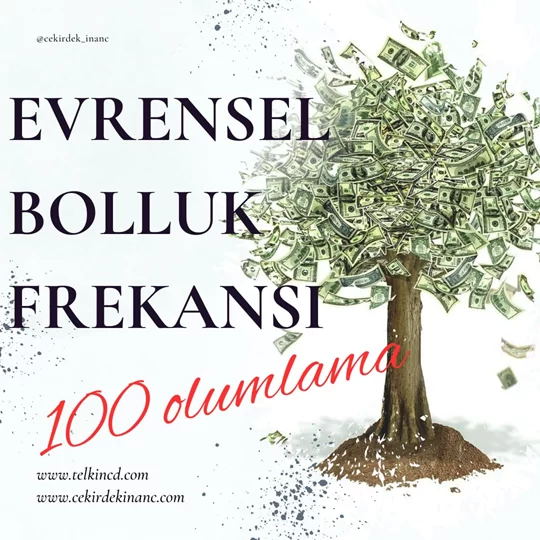 Evrensel Bolluk Frekansı 100 Olumlamalı | İsme Özel Telkin MP3